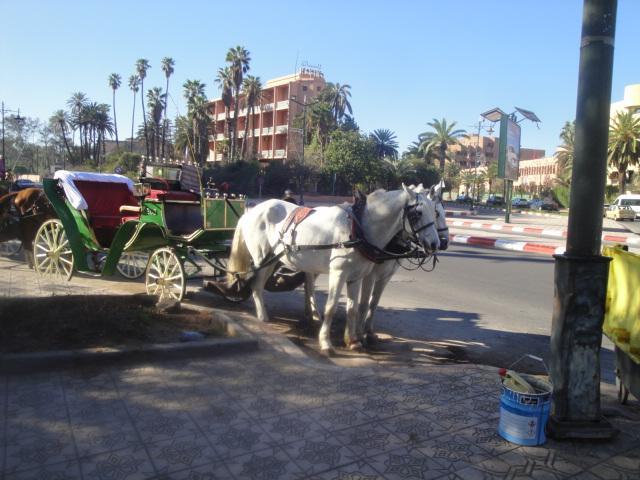 Appartement La Fontaine à Marrakesh Extérieur photo